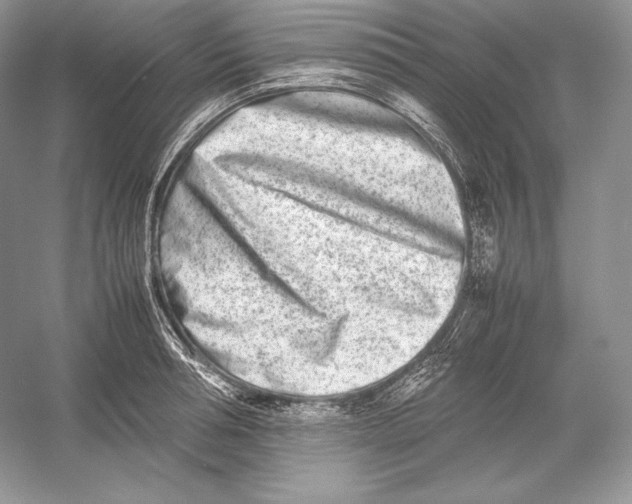 X0000052950994200508050917