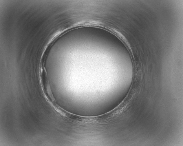 X0000052950997200508050917