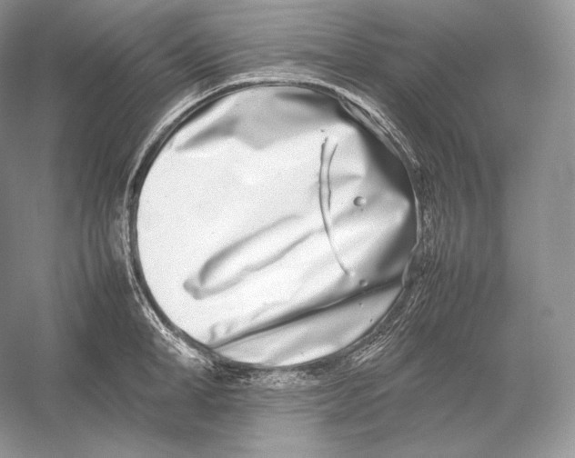 X0000052950998200508050917