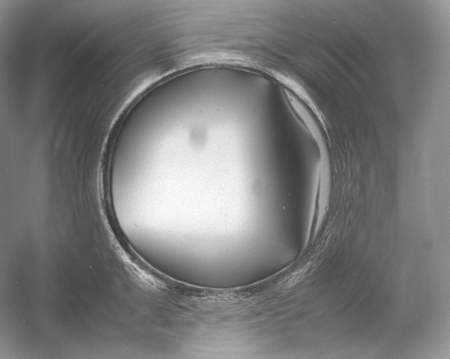 X0000052950999200508050917