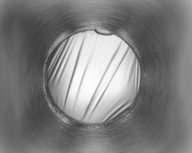 X0000052951002200508050917