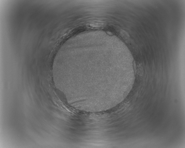 X0000052951009200508050916