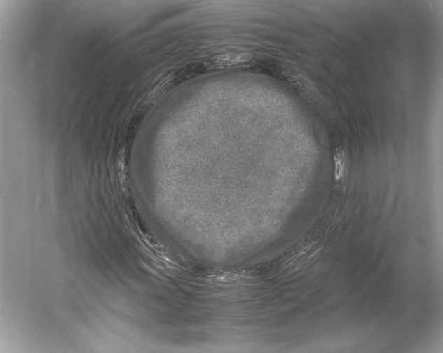 X0000052951011200508050916