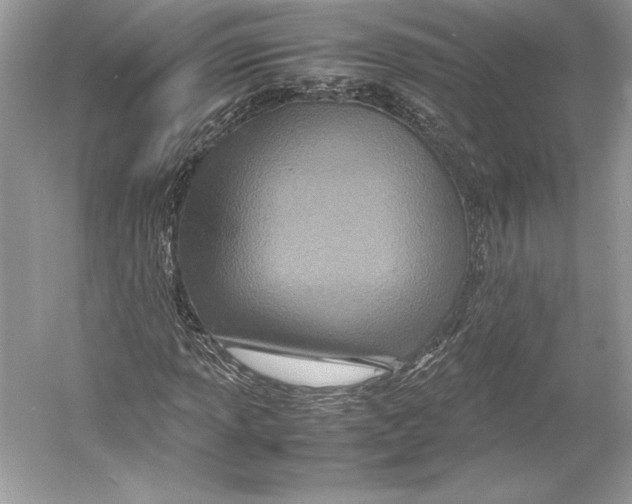 X0000052951013200508050916