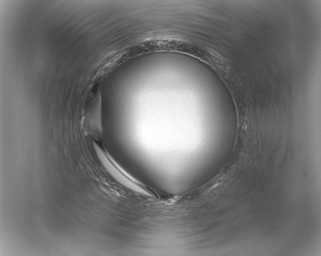 X0000052951014200508050916