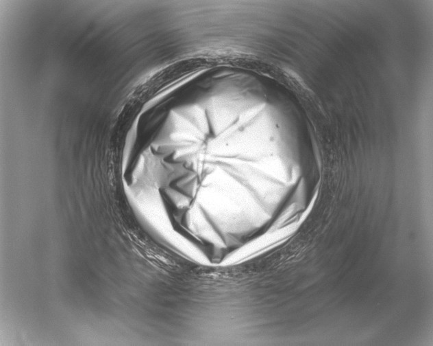 X0000052951016200508050916