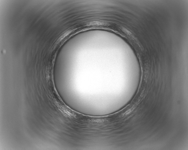 X0000052951017200508050916