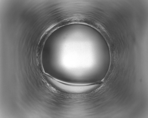 X0000052951018200508050916