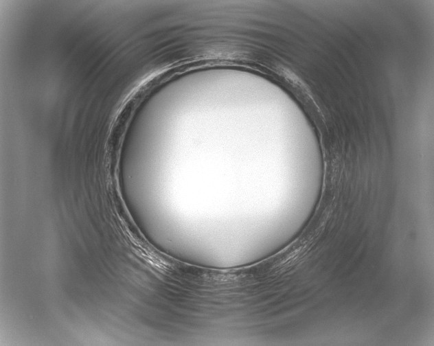 X0000052951019200508050916