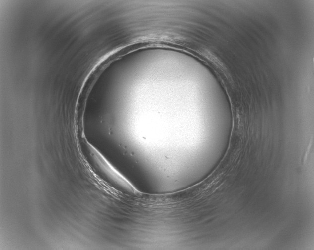 X0000052951020200508050916