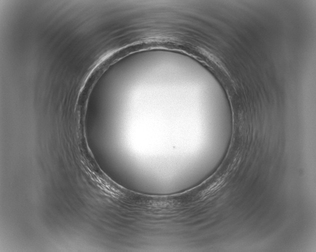 X0000052951021200508050916