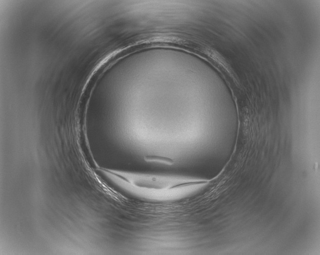 X0000052951024200508050916