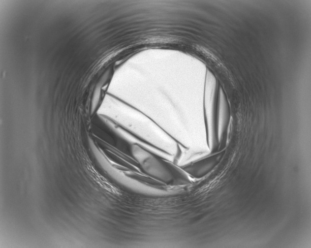 X0000052951025200508050916