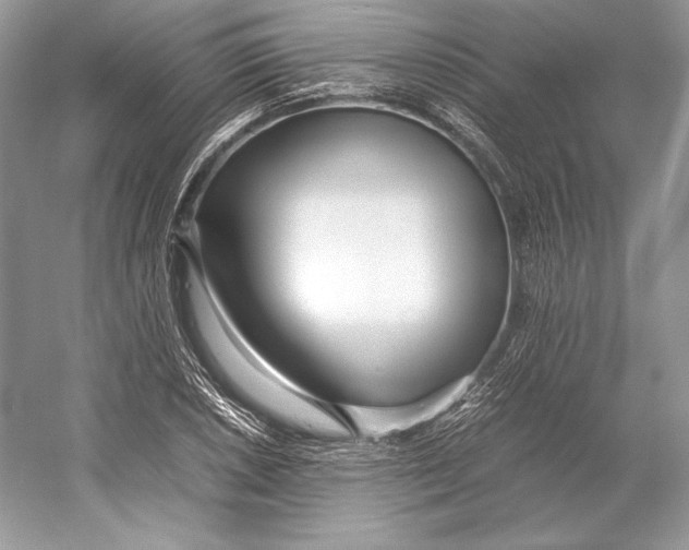 X0000052951026200508050916