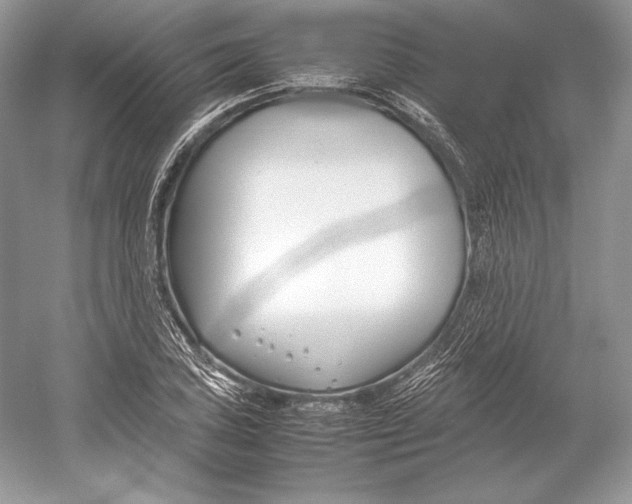 X0000052951027200508050916