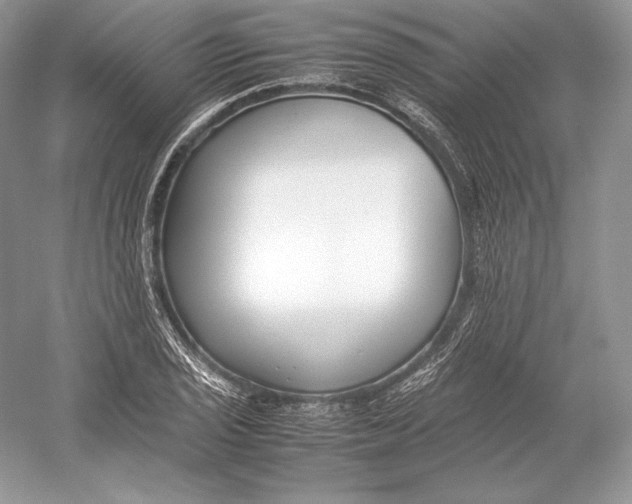 X0000052951029200508050916