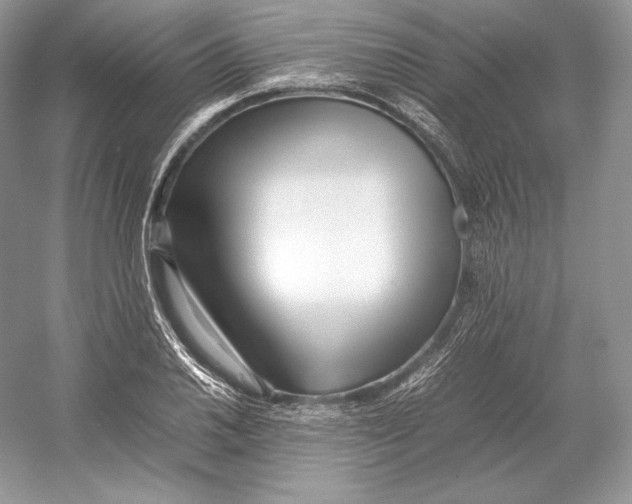 X0000052951030200508050916