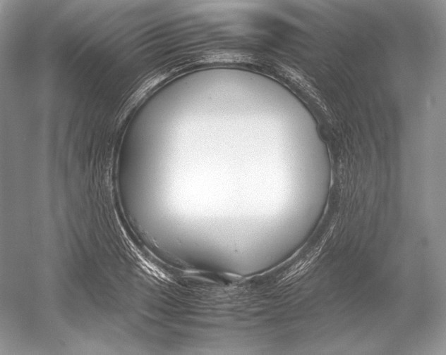 X0000052951033200508050916
