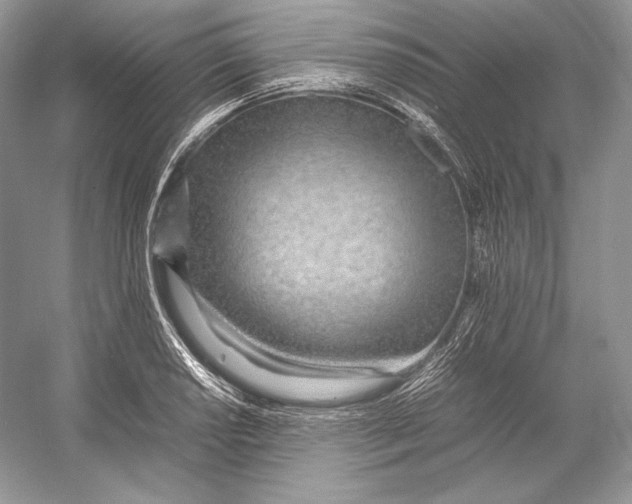 X0000052951034200508050916