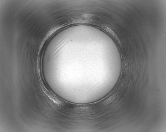X0000052951035200508050916