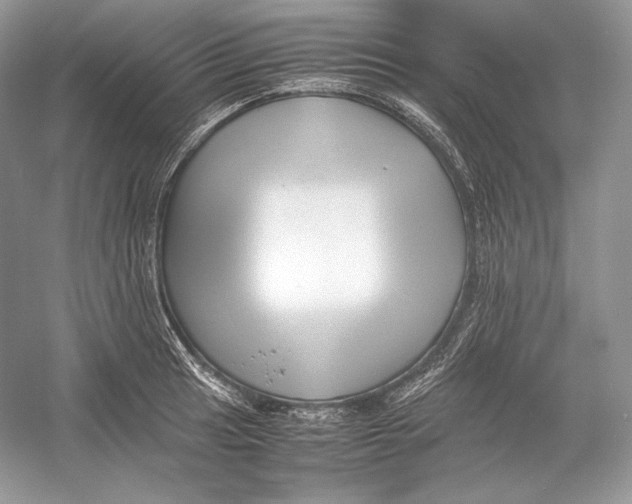 X0000052951041200508050917