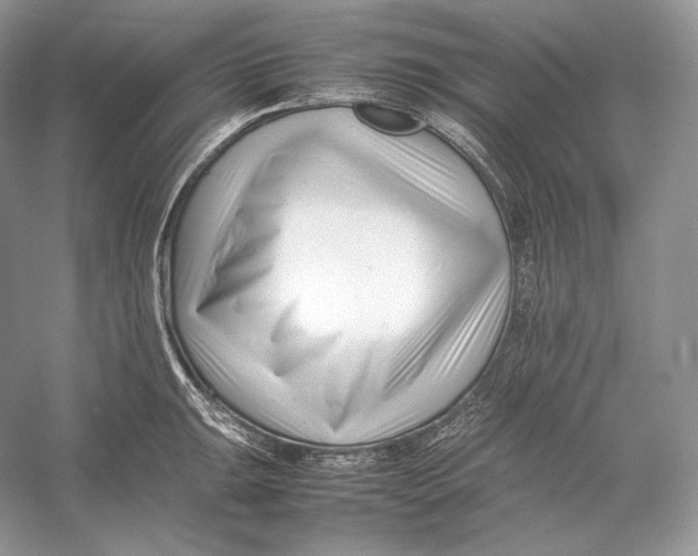 X0000052951047200508050917