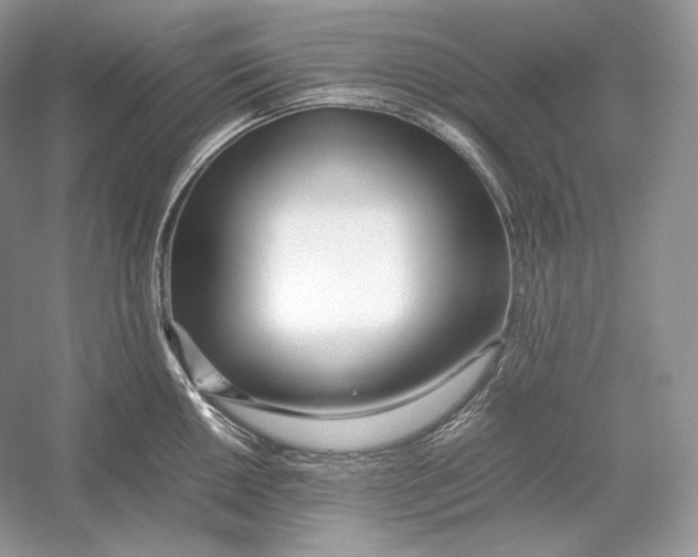 X0000052951050200508050917