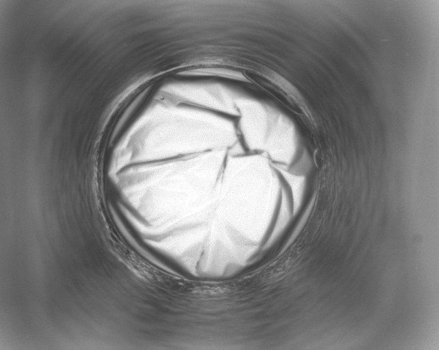X0000052951051200508050917