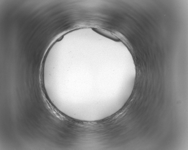 X0000052951052200508050917