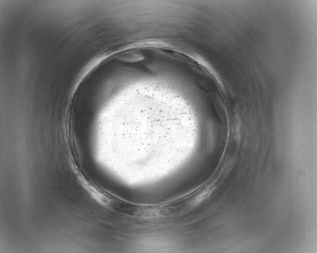 X0000052951054200508050917