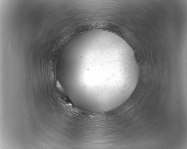 X0000052951058200508050916