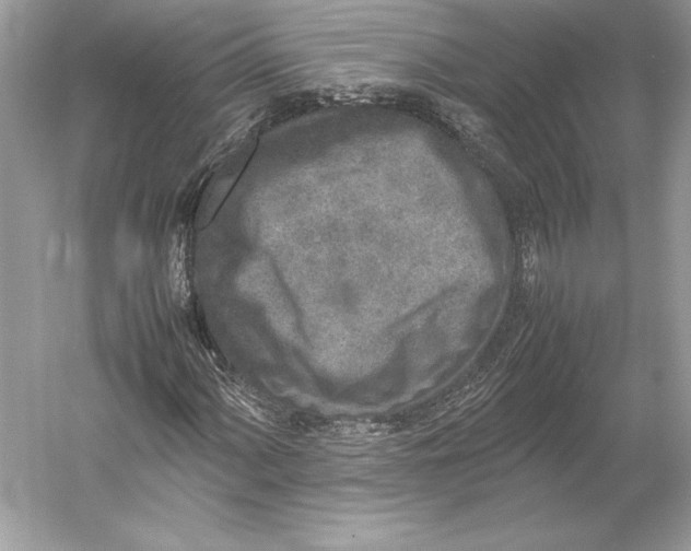 X0000052951060200508050916