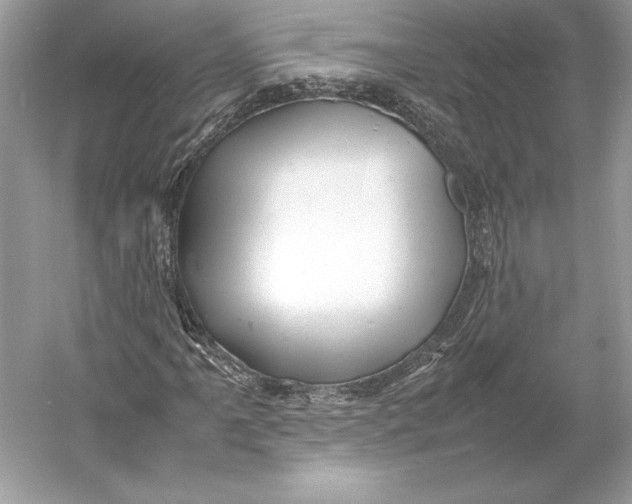 X0000052951061200508050916
