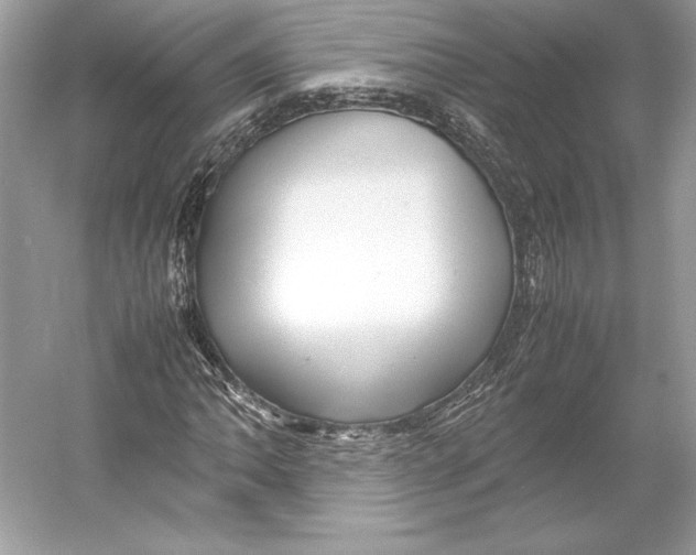 X0000052951062200508050916