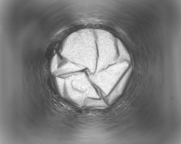 X0000052951063200508050916