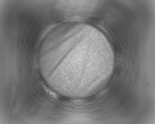 X0000052951075200508050916