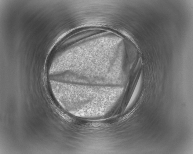 X0000052951077200508050916