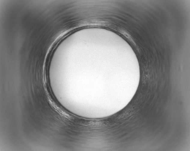 X0000052951080200508050916