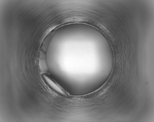 X0000052951081200508050916