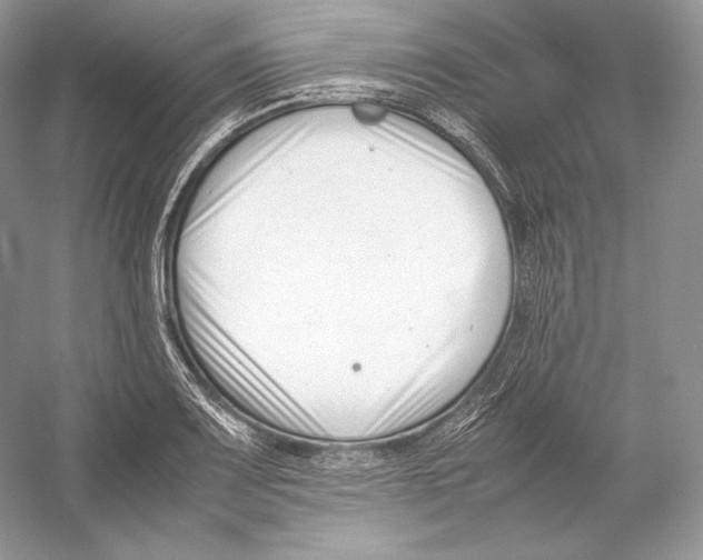 X0000052951083200508050916