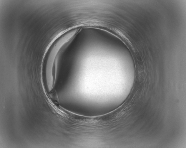 X0000052951085200508050916