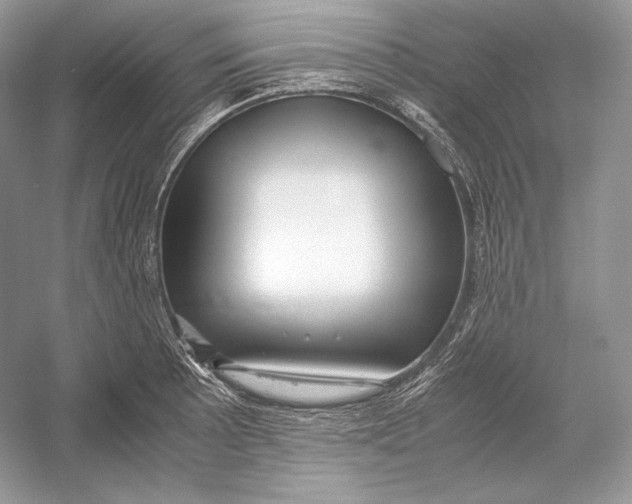 X0000052951089200508050915
