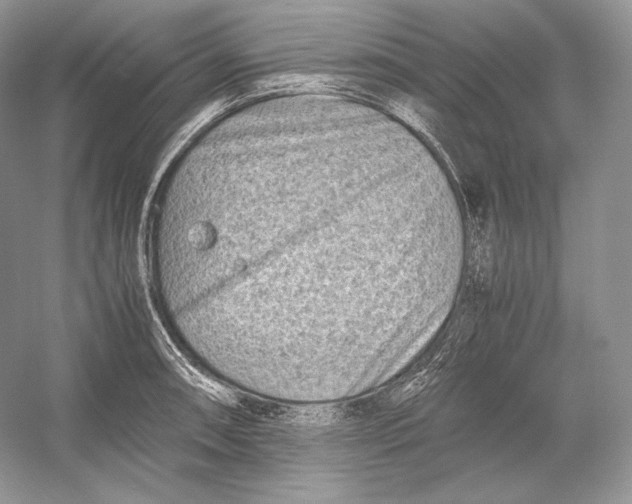 X0000052951090200508050915