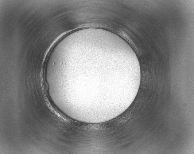 X0000052951092200508050915