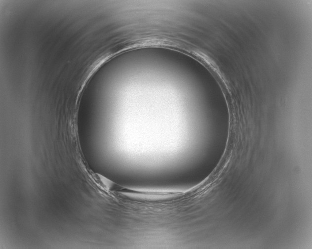 X0000052951097200508050915