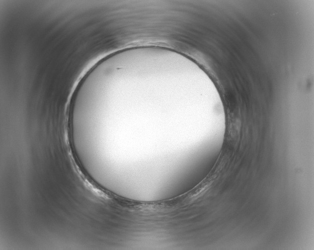 X0000052951102200508050915