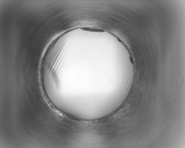 X0000052951104200508050915