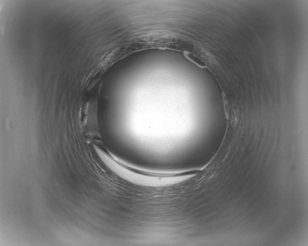 X0000052951108200508050914