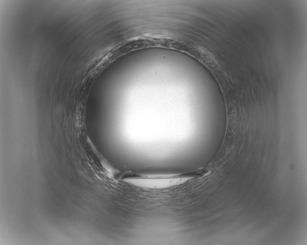 X0000052951110200508050914