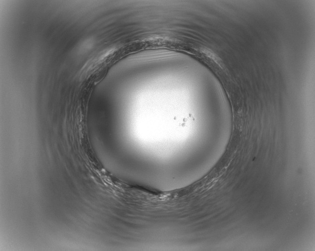 X0000052951111200508050914